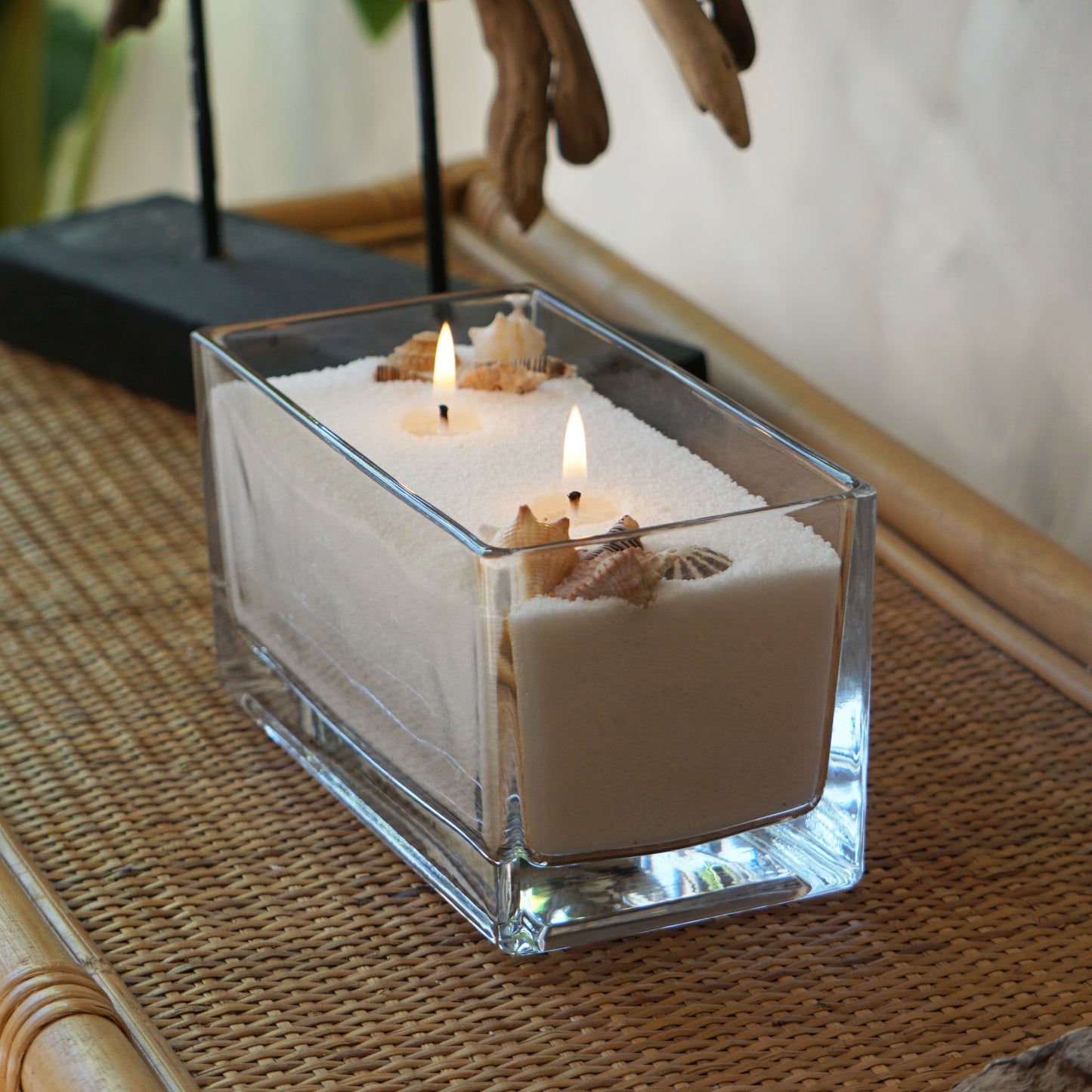 Reciepiente de Vidrio Rectangular